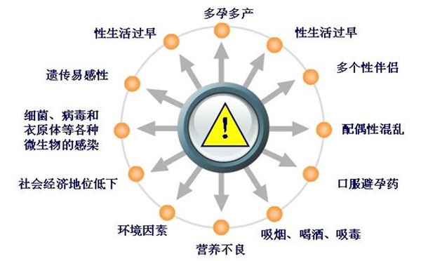 为什么会得宫颈癌